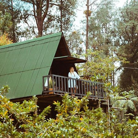 Cardinal Glamping Hotel Guatapé Buitenkant foto
